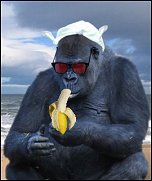 George On Beach
